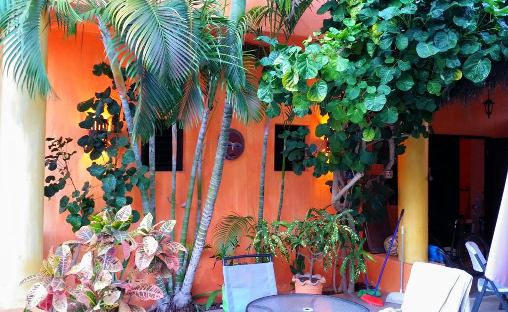 Casita De Maya Boutique Hotel Cozumel Eksteriør billede